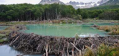 Tour photo