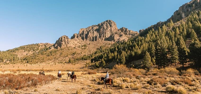 Explore the vast Patagonian steppe on horseback in Bariloche