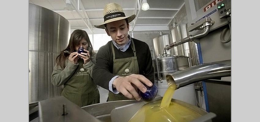 Tour an olive oil production facility, taste their olive oil, and enjoy a cooking class in Mendoza