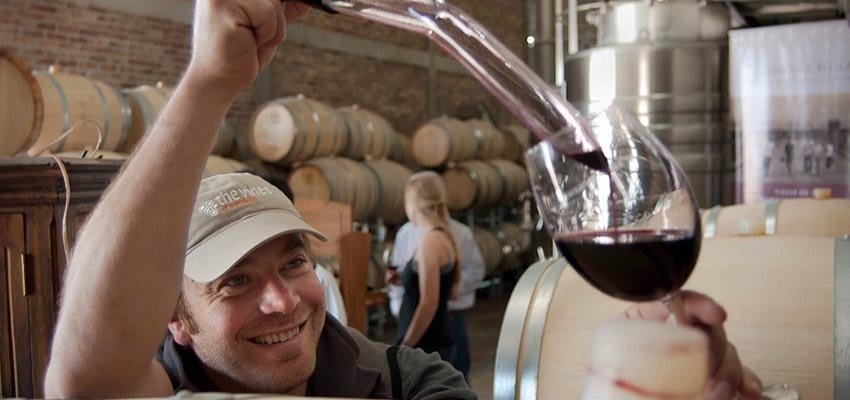 Savor in Mendoza some of the best high altitude wines in the world, directly from the wine barrels!