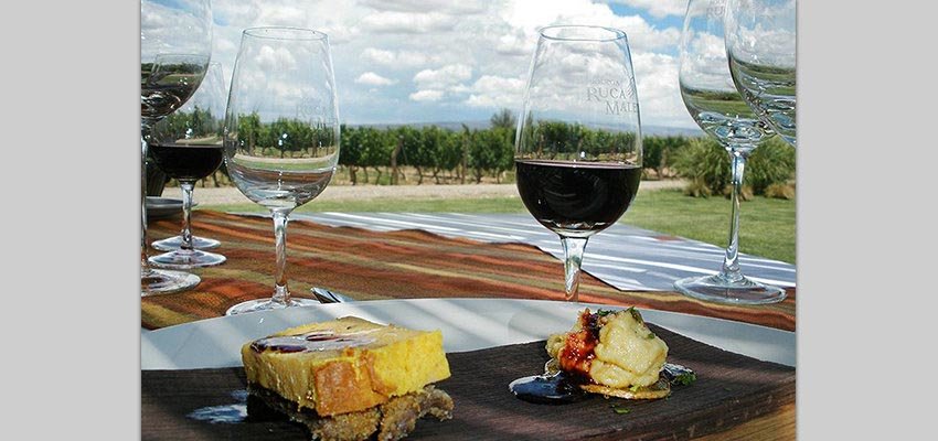 Visit Mendoza&rsquo;s most prestigious wineries and savor first-class Wines with a tasty gourmet lunch