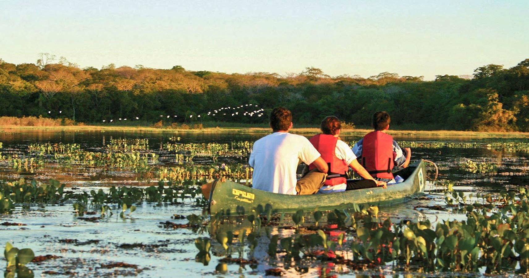Paddle you way through marshes and lagoons on a canoeing adventure