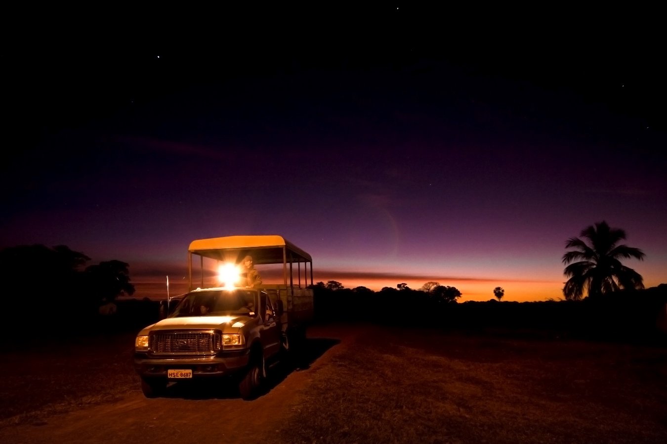 Embark on a night wildlife spotting experience through the Pantanal[1]