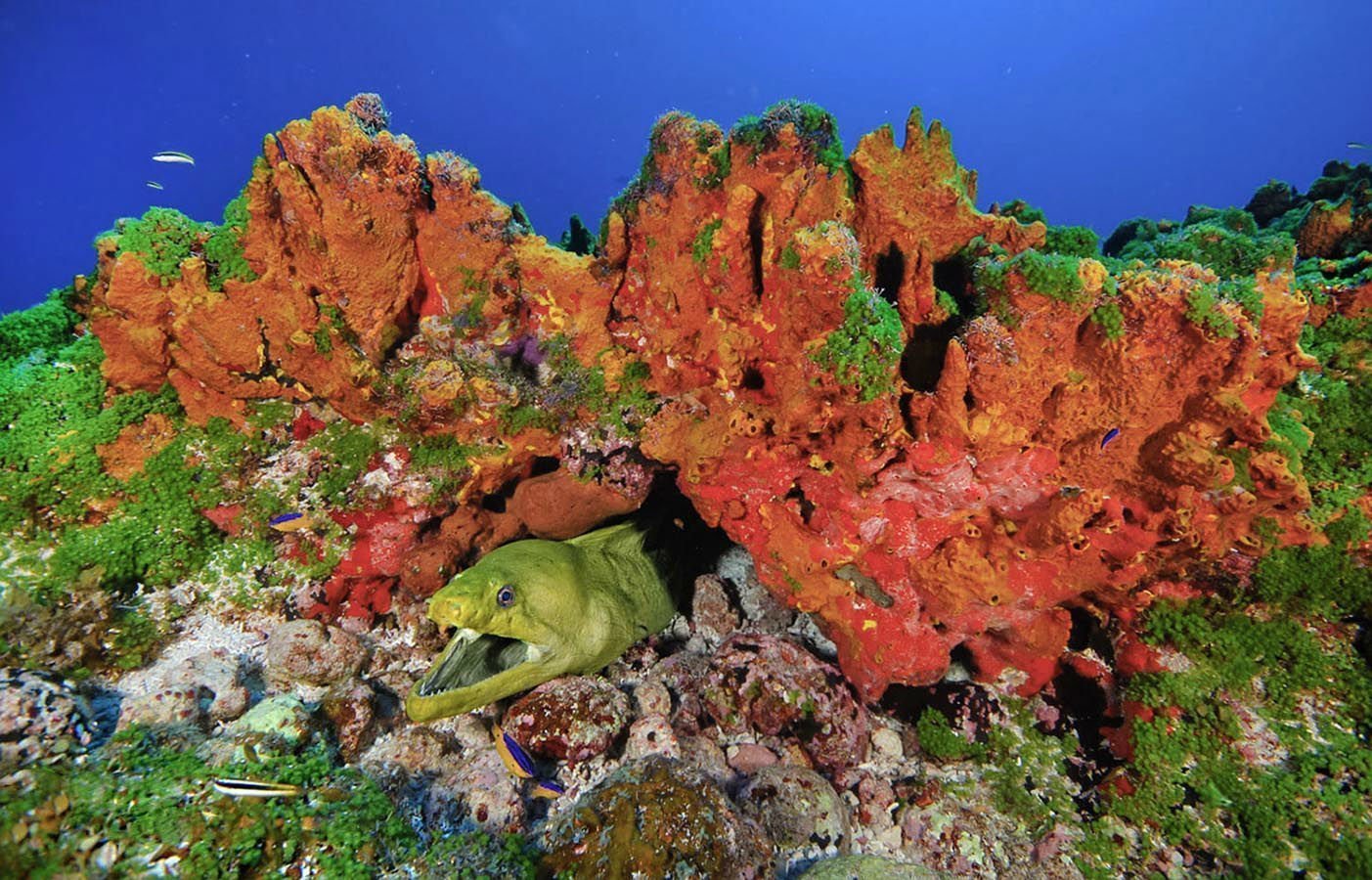 The archipelago is rich in corals and rock formations