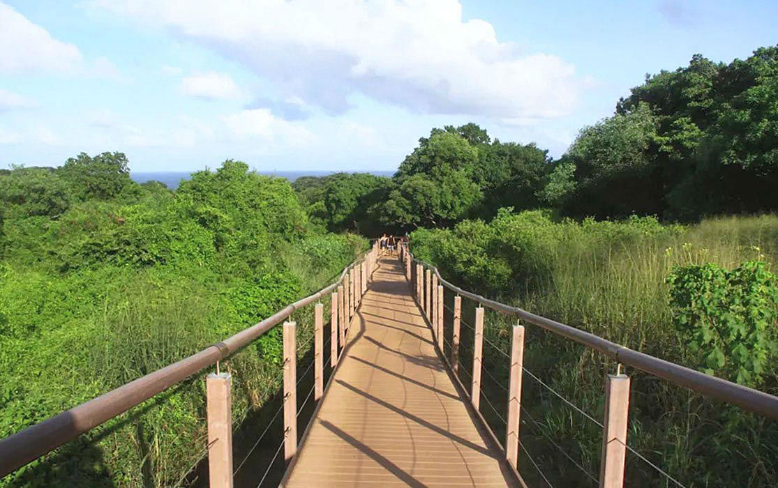 Besides the panoramic outlooks, we&rsquo;ll see the native vegetation