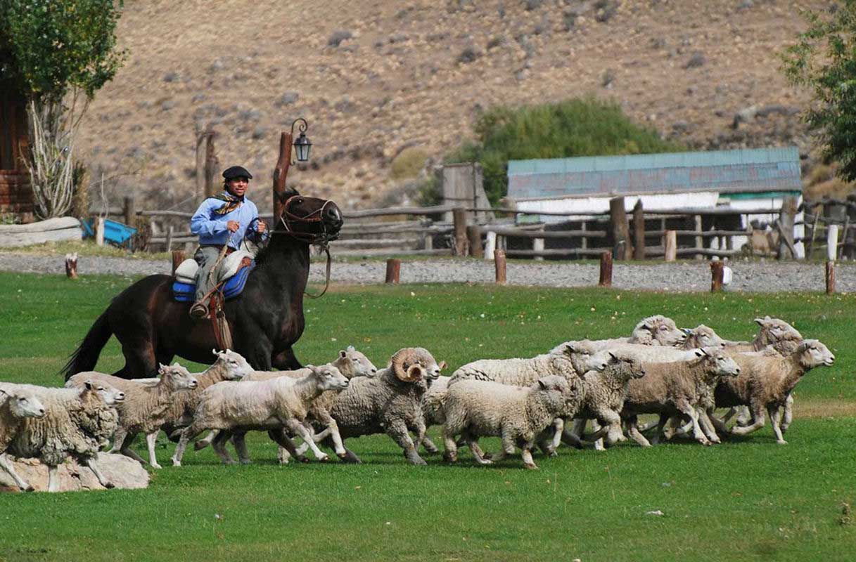 Learn about the daily chores of this traditional ranch hand