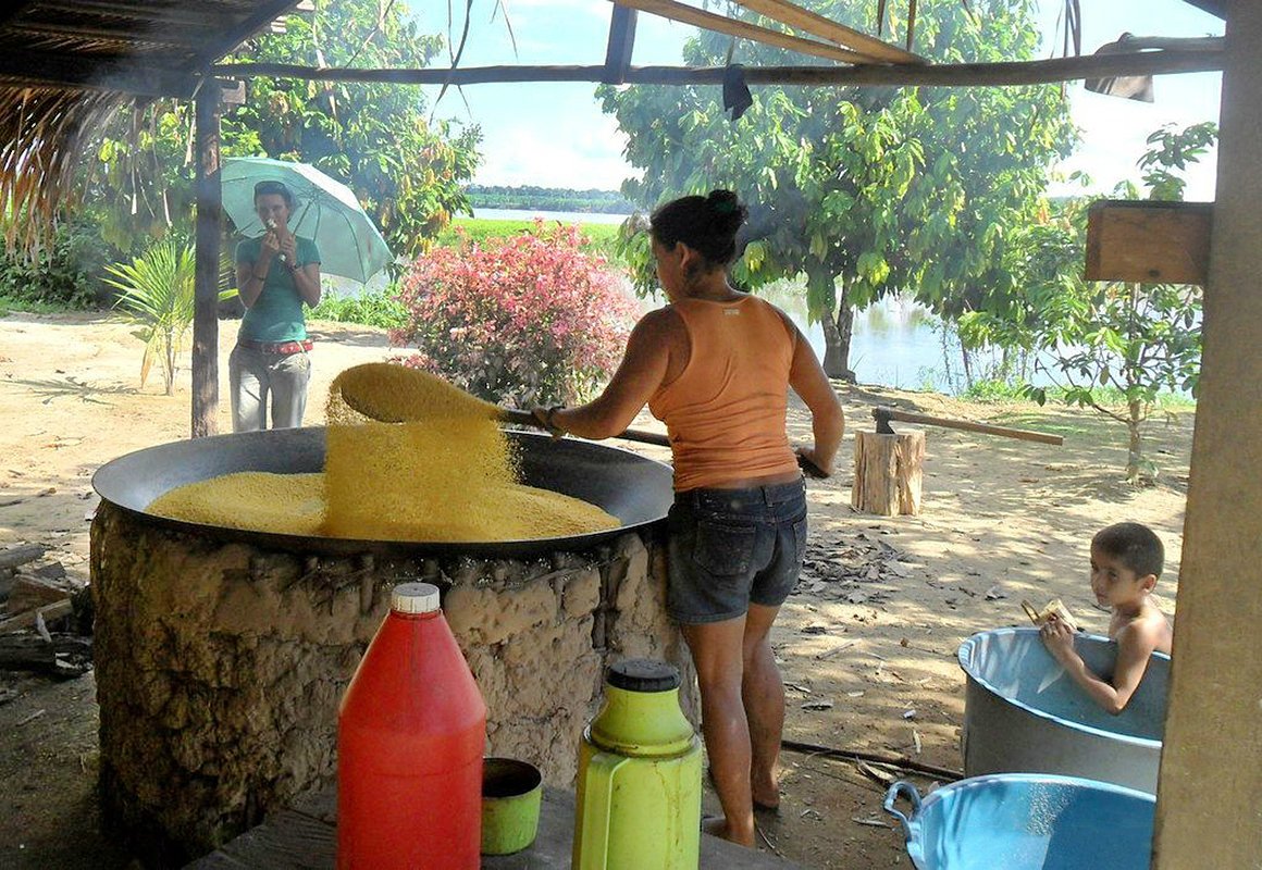 The production of tapioca flour, a staple Amazonian food, helps villages be self-sustainable