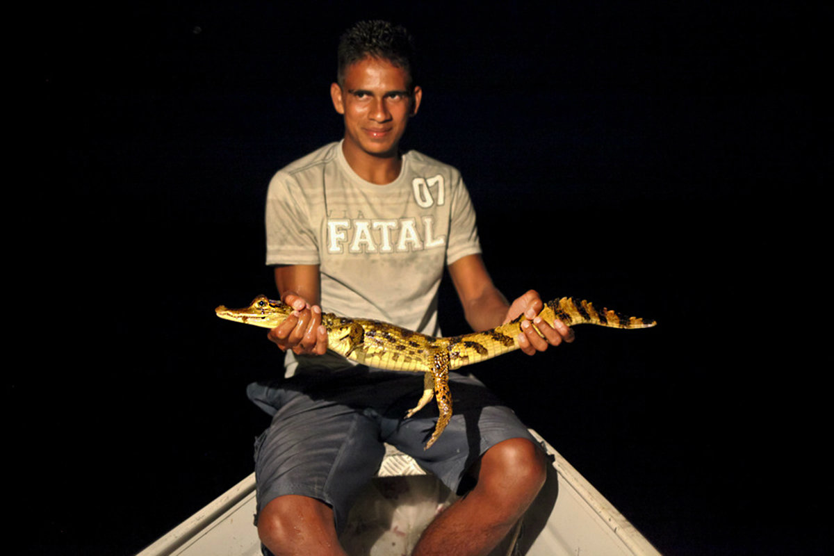 If we spot a caiman, our tour guide may be able to bring it on board!