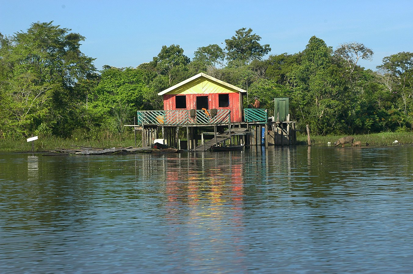 Some are floating houses and some are built on stilts