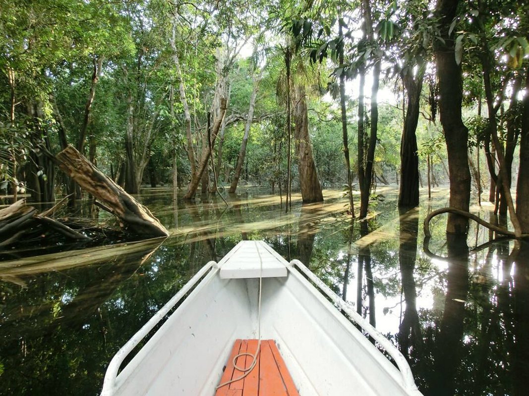 We&rsquo;ll also navigate the flooded forests (depending on season)