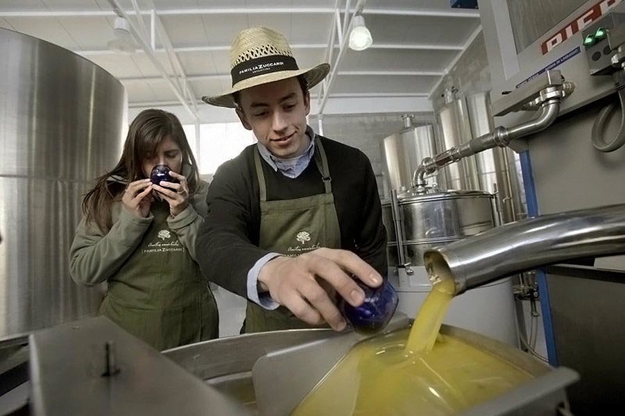 In a unique tour of an olive oil production facility, taste the richness of the oil directly from the source!