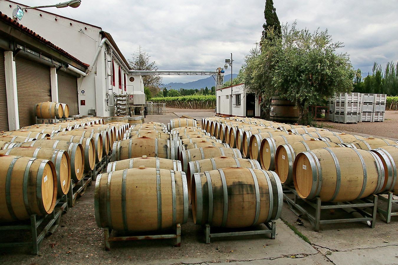 Enjoy a guided wine tasting in 3 different wineries