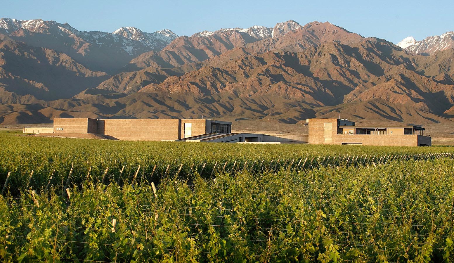 It’s time to savor some of the best high altitude wines in the world