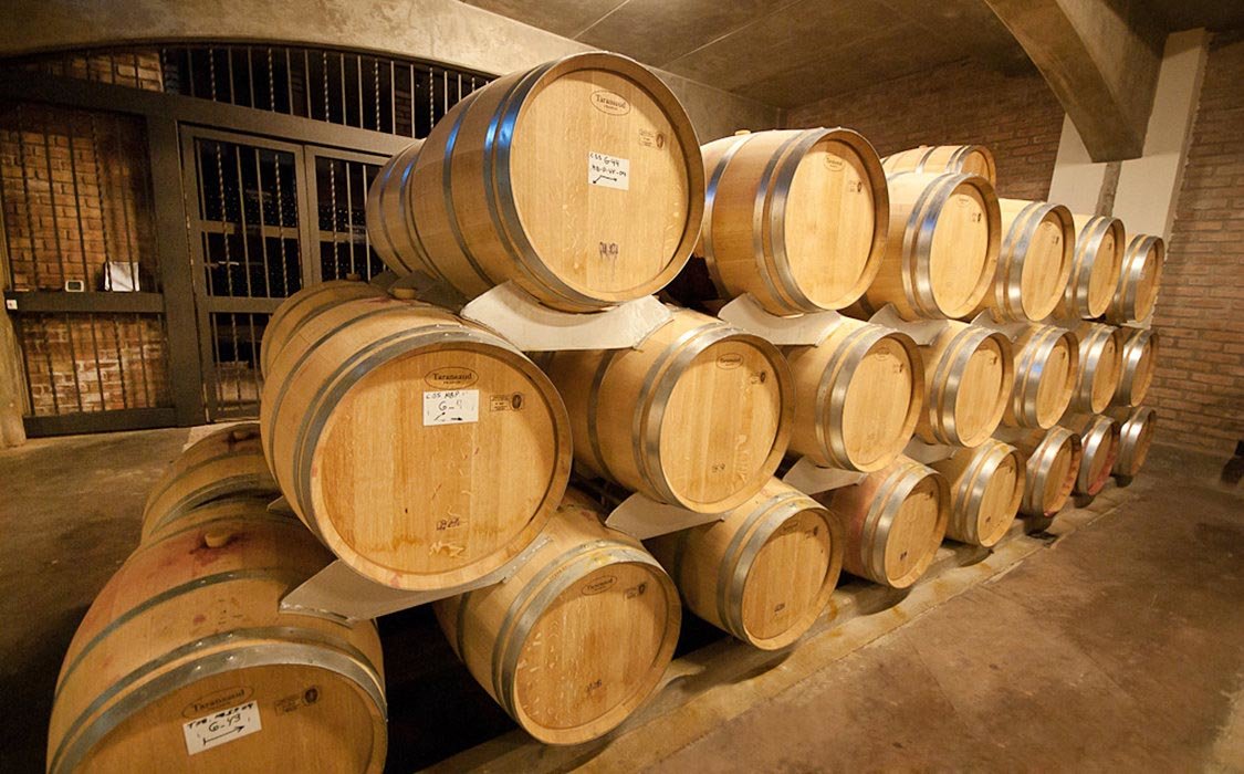 Visit 2 prestigious wineries, and savor the first-class wines of Mendoza’s wine region