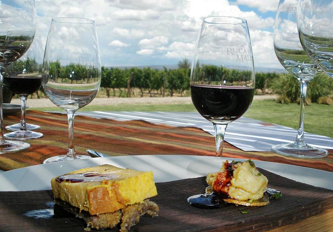 Each winery includes guided wine tasting, and you’ll enjoy a gourmet lunch in one of them