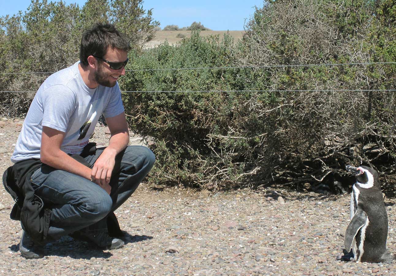 Up close and personal with the cute Magellanic penguin