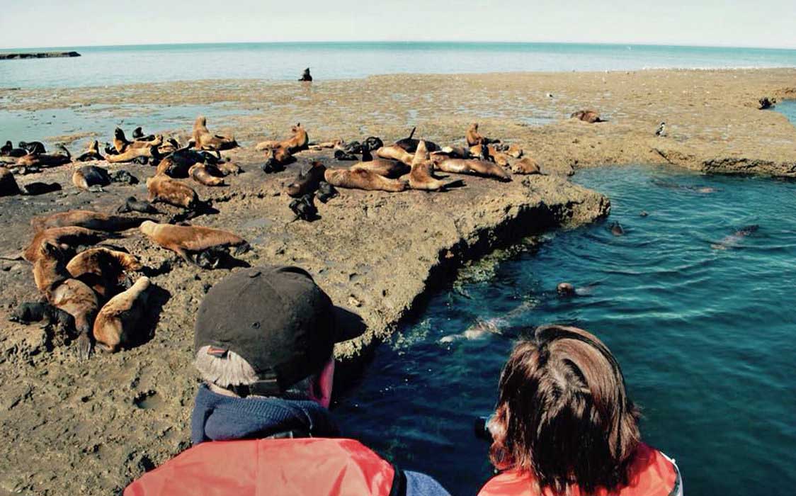 Admiring the sea lion colony from our boat
