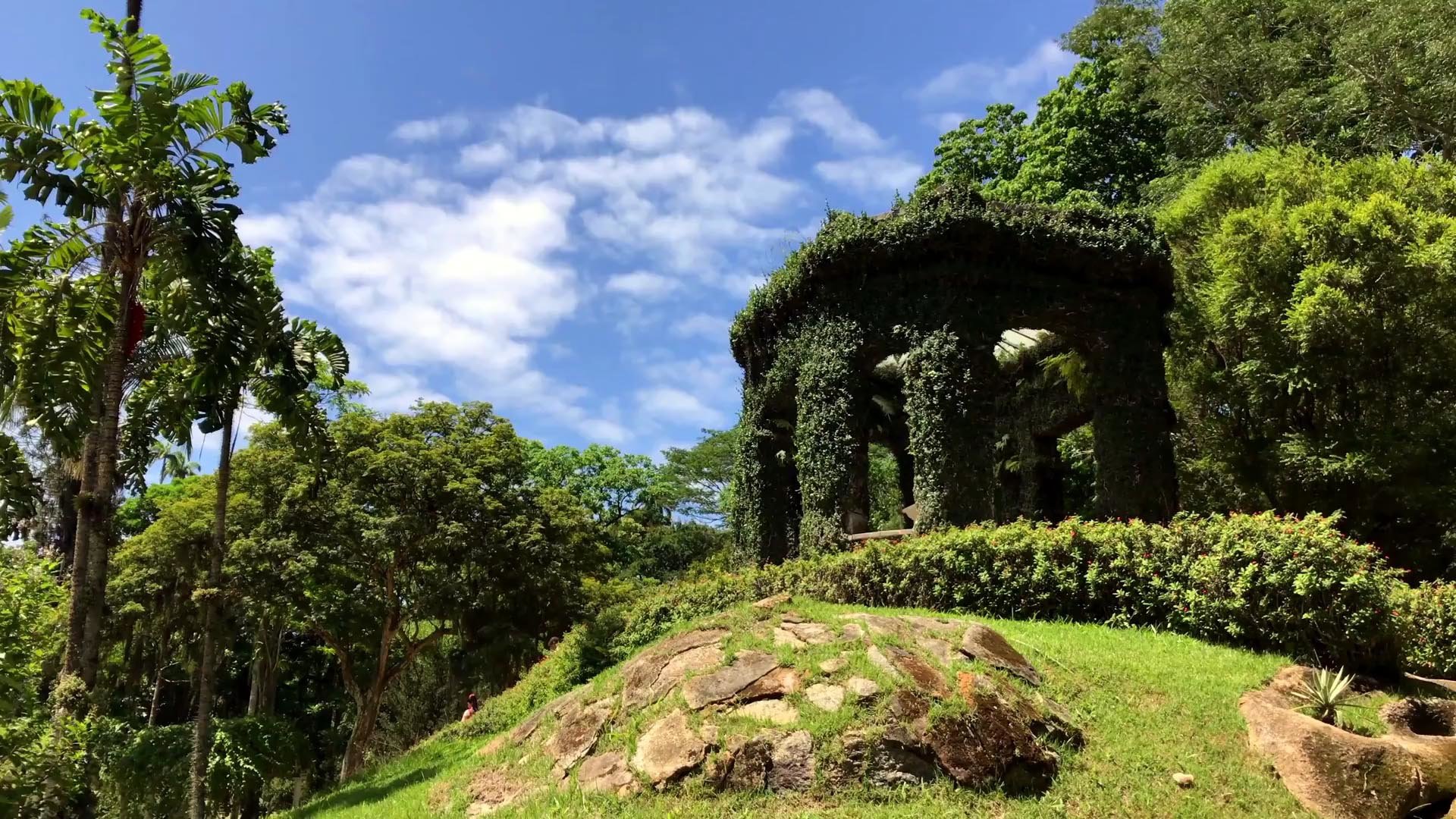 The gardens are interspersed with a lush tropical forest