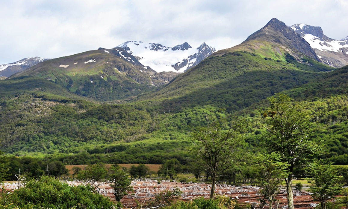 Our trek to the Vinciguerra Glacier takes us through lush green forests